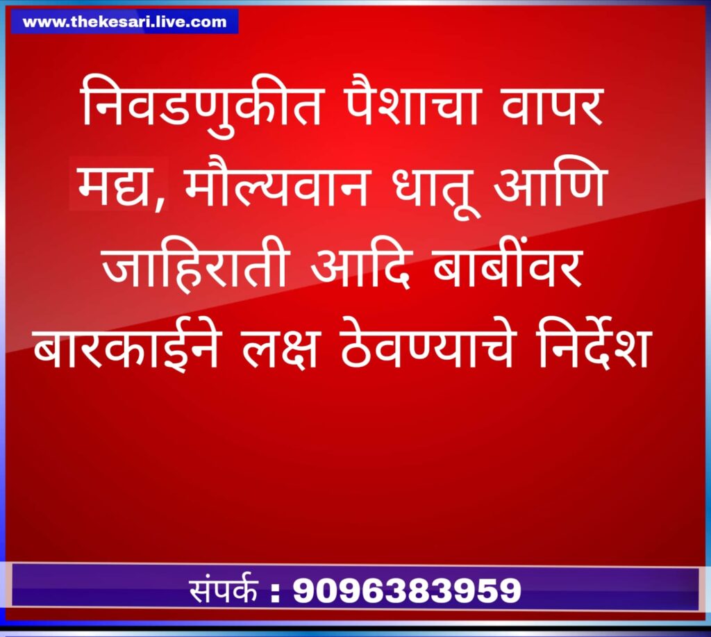 WhatsApp Image 2024-11-12 at 8.13.06 PM
