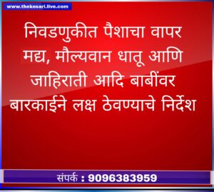 WhatsApp Image 2024-11-12 at 8.13.06 PM