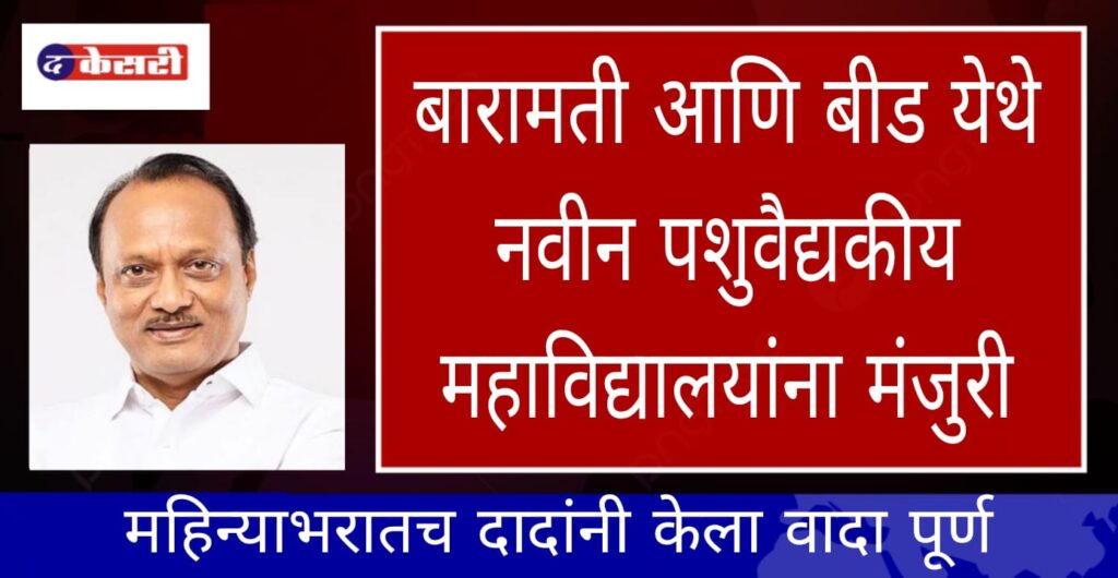 WhatsApp Image 2025-02-25 at 7.37.14 PM