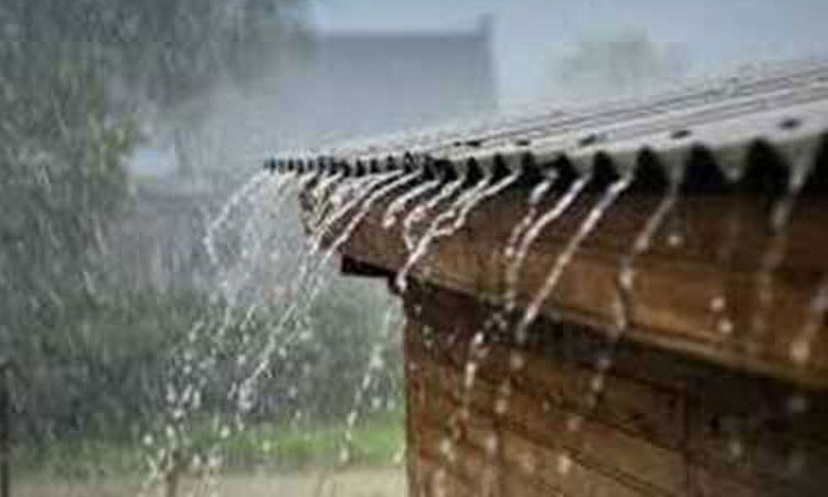 rain-3
